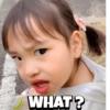 WHAT?