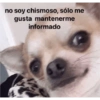 Chisme 🔥💋 16