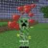 Minecraft Random 🌳🐝 20