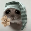 Perro  9