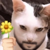 Mewing 6