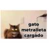 Gatos 8