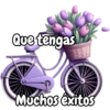 Tulipanes para toda ocasión 🌷 23