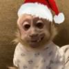 REAÇÕES NATALINAS🎄🎁☃️ 6