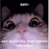 Love yani aşk 9