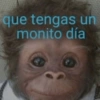 que tengas un
monito día
