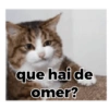 Gatos 12