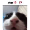 My honest reaction:  5