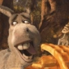 BURRO SHREK 10