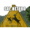 Patético 17
