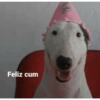 Inserte emojis de cumpleaños 16