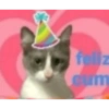 Inserte emojis de cumpleaños 20