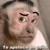 🙊🐒 Monitos 🐒🙈 18