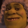 SHREK 16