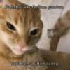 Padahal aku belum pantun Tapi kamu udah cakep