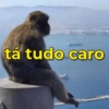 tá tudo caro