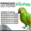 FAZOPIX💠 13