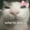 TOP NOVOS MEMES  6