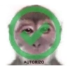 Macaco 🐵 25