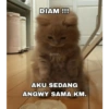 DIAM !!! @nnn AKU SEDANG ANGWY SAMA KM.