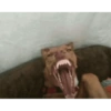 Gianella te amo  13