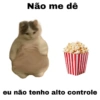 Meme gatos 15