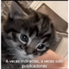 pa
A veces indirectas, a veces solo
publicaciones