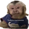 Pal grupo 21