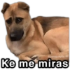 @paraguayita_01
Ke me miras