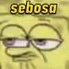 MEMES ÚTEIS 15