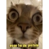 Patético 5
