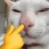 Mewing 10