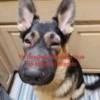 Shitpost V.2😎 10