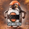 SIGMA BOY❤ Likes C