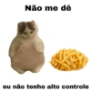 Meme gatos 9