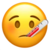 Emoji iphone 25