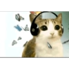 Gatos 5
