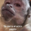 Ya cierra el ocico
papito