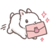 Kelinci lucu 🐰 6