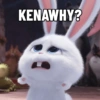 KENAWHY?