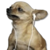 Perritos MooD #2 9