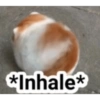 *Inhale*
