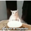 Inserte emojis de cumpleaños 12