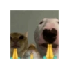 RANDOM CURSED SHITPOST MEME  14