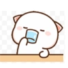 Cutemochicates  5