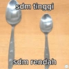 sdm tinggi sdm rendah