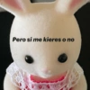 Pero si me kieres o no