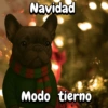 Navidad Bulldog templates🐾🎄✨ 15