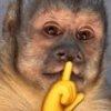 Reações + macacos 🐒 9