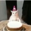 Inserte emojis de cumpleaños 14